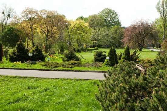 Ботанический сад Калининграда